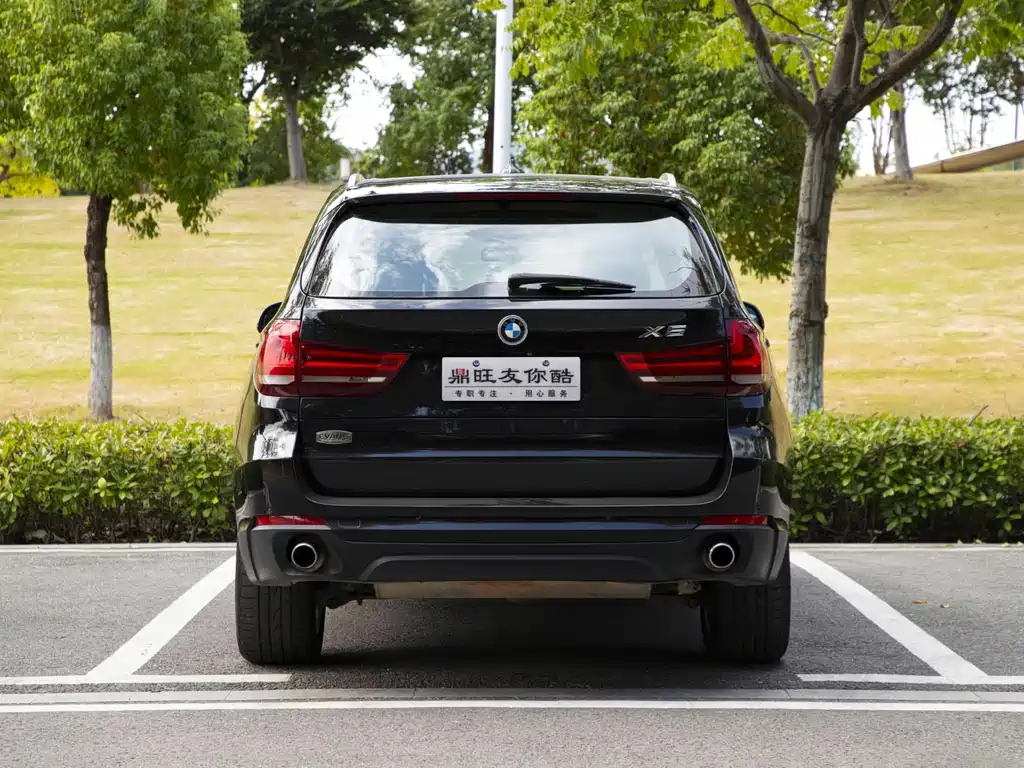BMW X5 (Import) — миниатюра 5