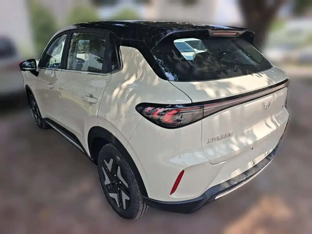 Wuling BinguoS S 2025 325km Flagship