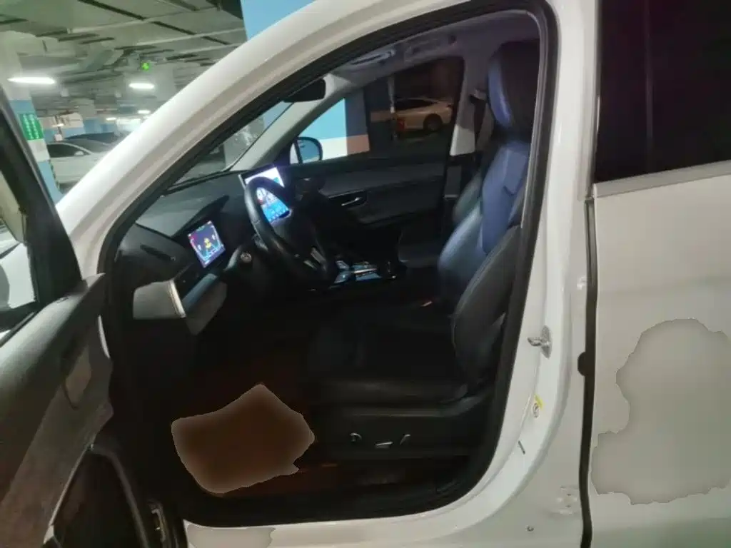 BYD Pro New Energy — миниатюра 15
