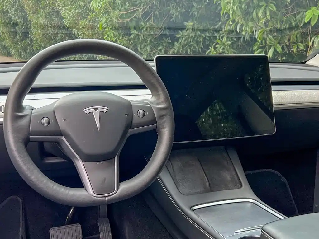 Tesla Model Y — миниатюра 8
