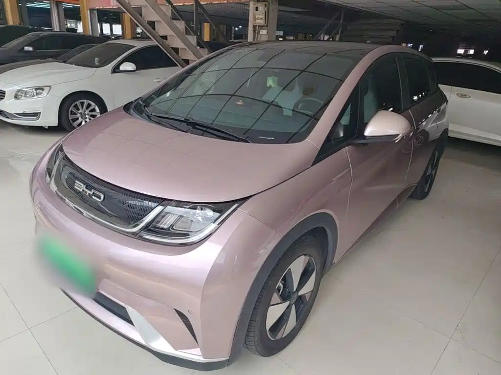 BYD Dolphin — миниатюра 2