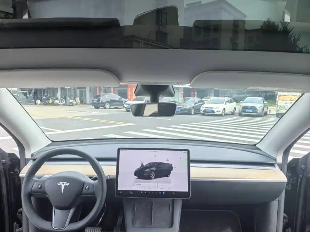Tesla Model Y — миниатюра 7