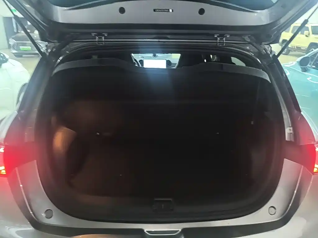 BYD Dolphin — миниатюра 19
