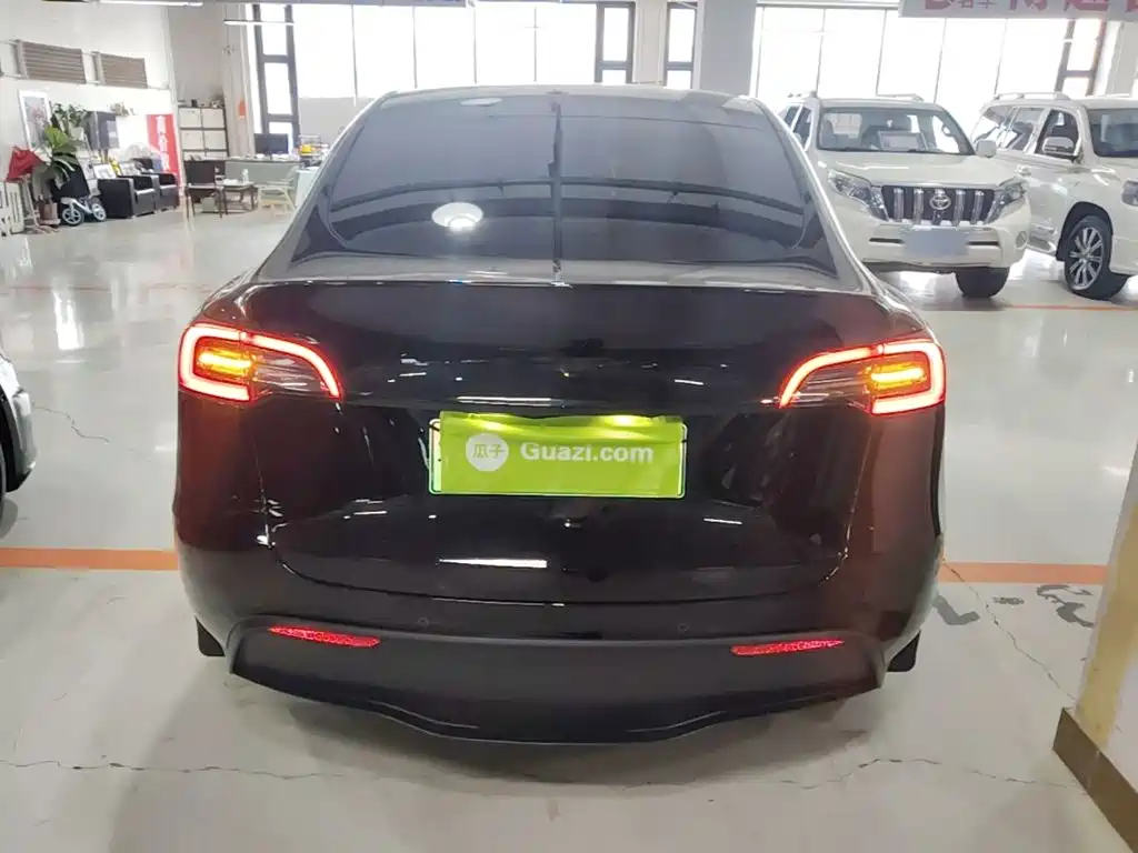 Tesla Model Y — миниатюра 6