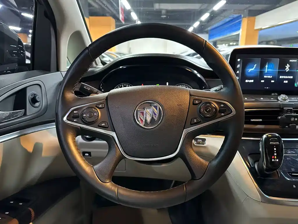 Buick GL8 — миниатюра 10