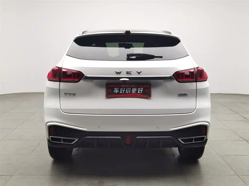 WEI PAI WEI BRAND VV5