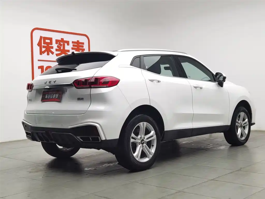 WEI PAI WEI BRAND VV5