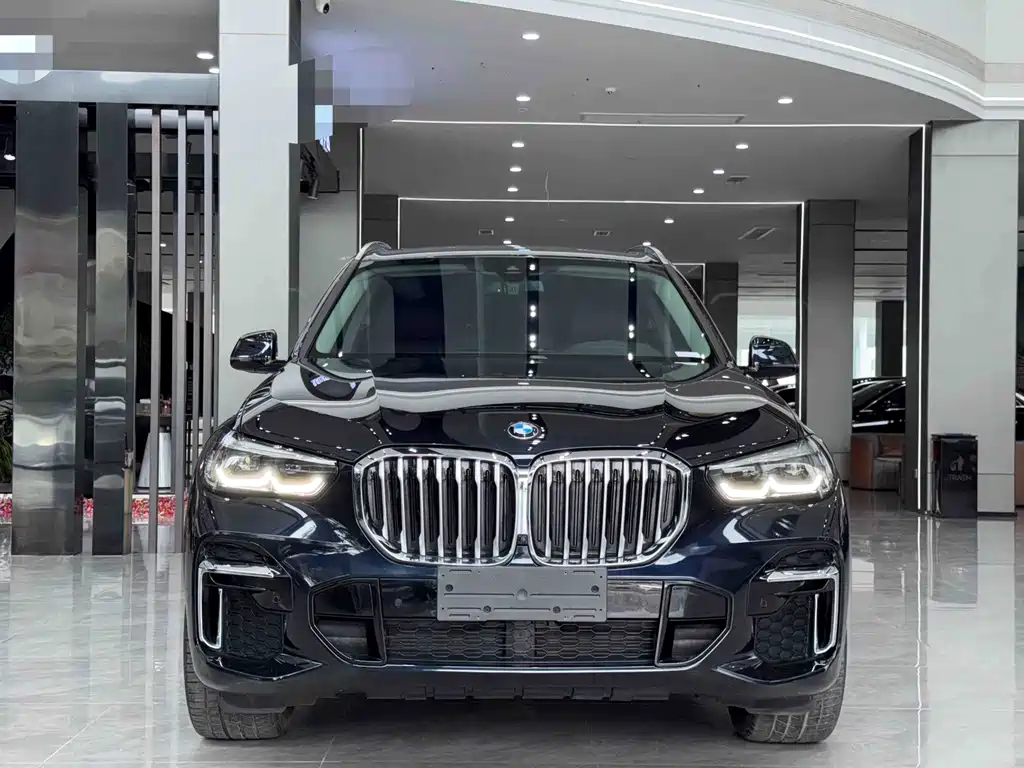 BMW X5 — миниатюра 2