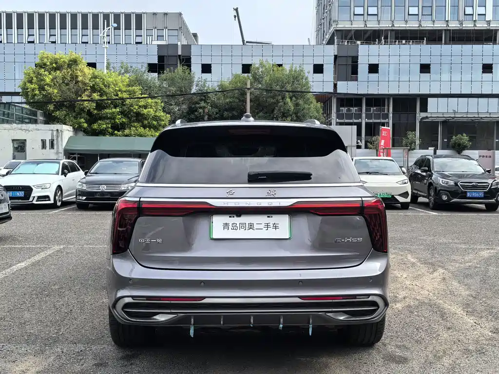 Hongqi Hongqi E-HS9 — миниатюра 9