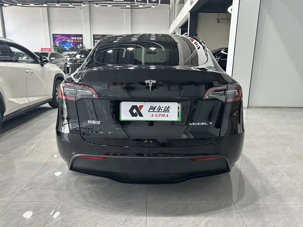 Tesla Model Y — миниатюра 5
