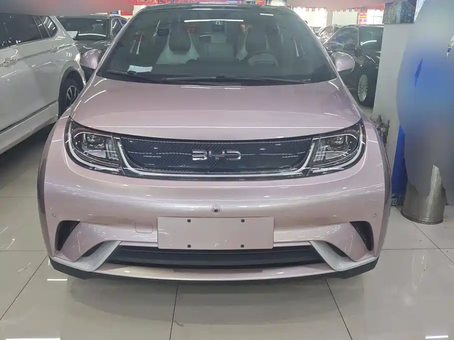 BYD Dolphin — миниатюра 2