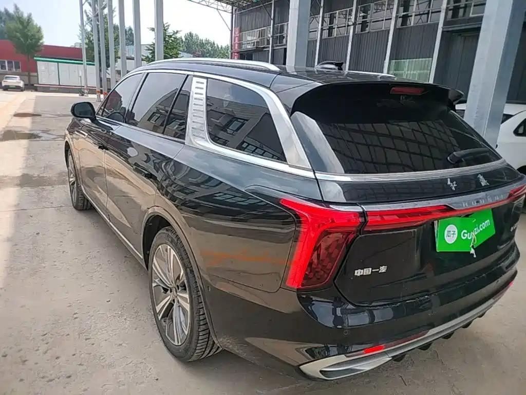 Hongqi E-HS9 2022 660km мест