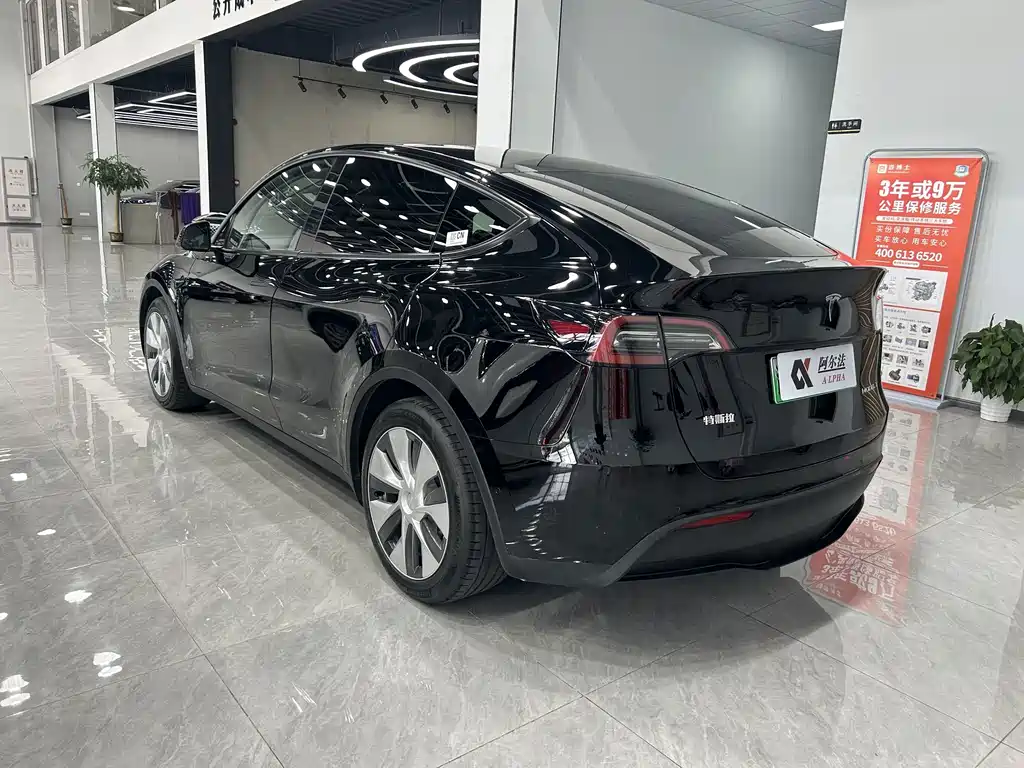 Tesla Model Y — миниатюра 6