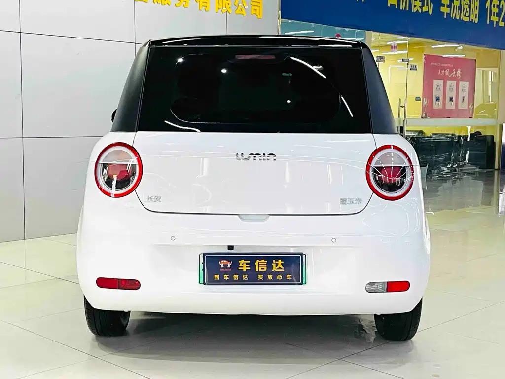 Qiyuan Lumin — миниатюра 4