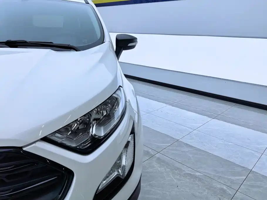 Ford Ecosport — миниатюра 5