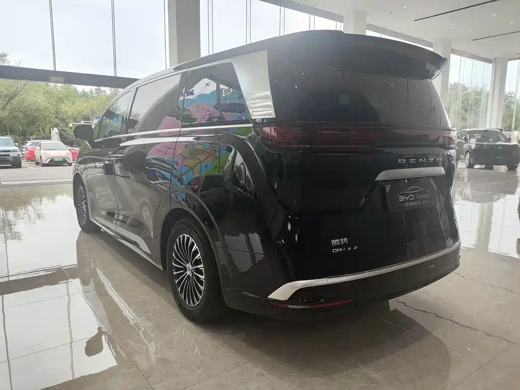 Denza Denza D9 — миниатюра 7
