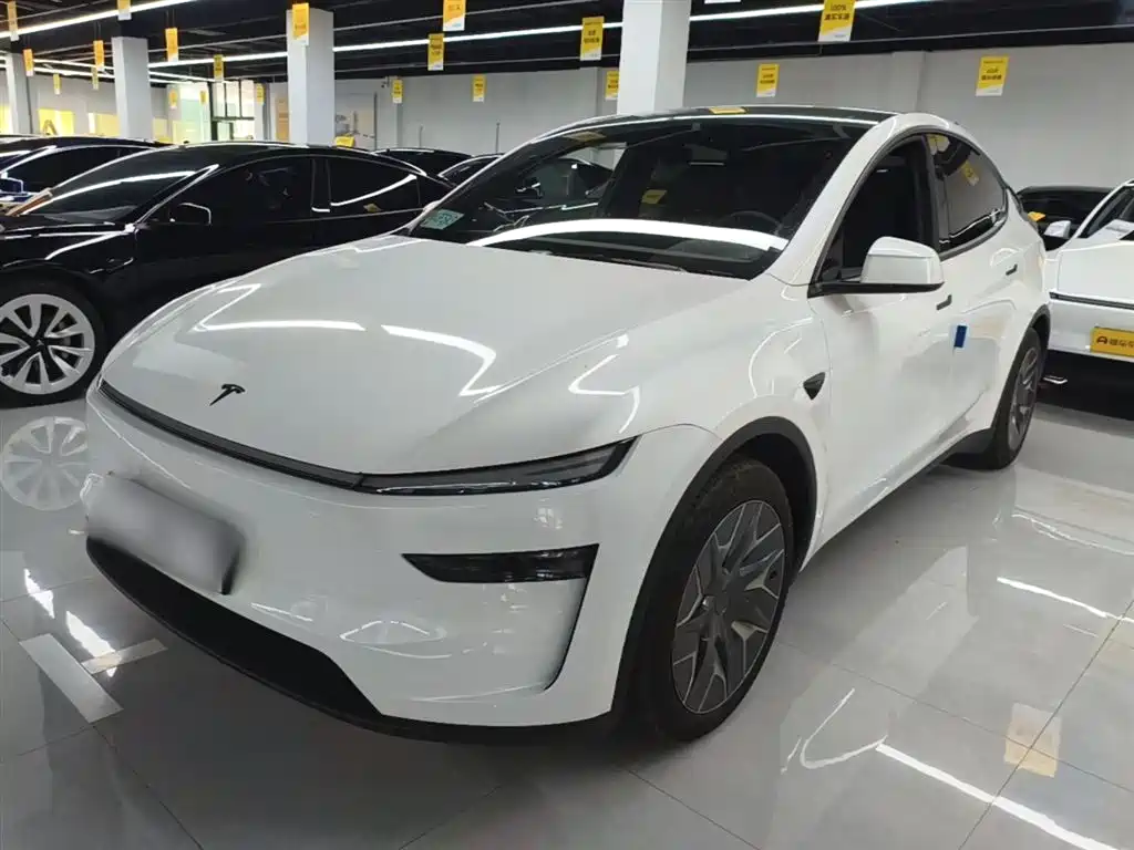 Tesla Model Y L