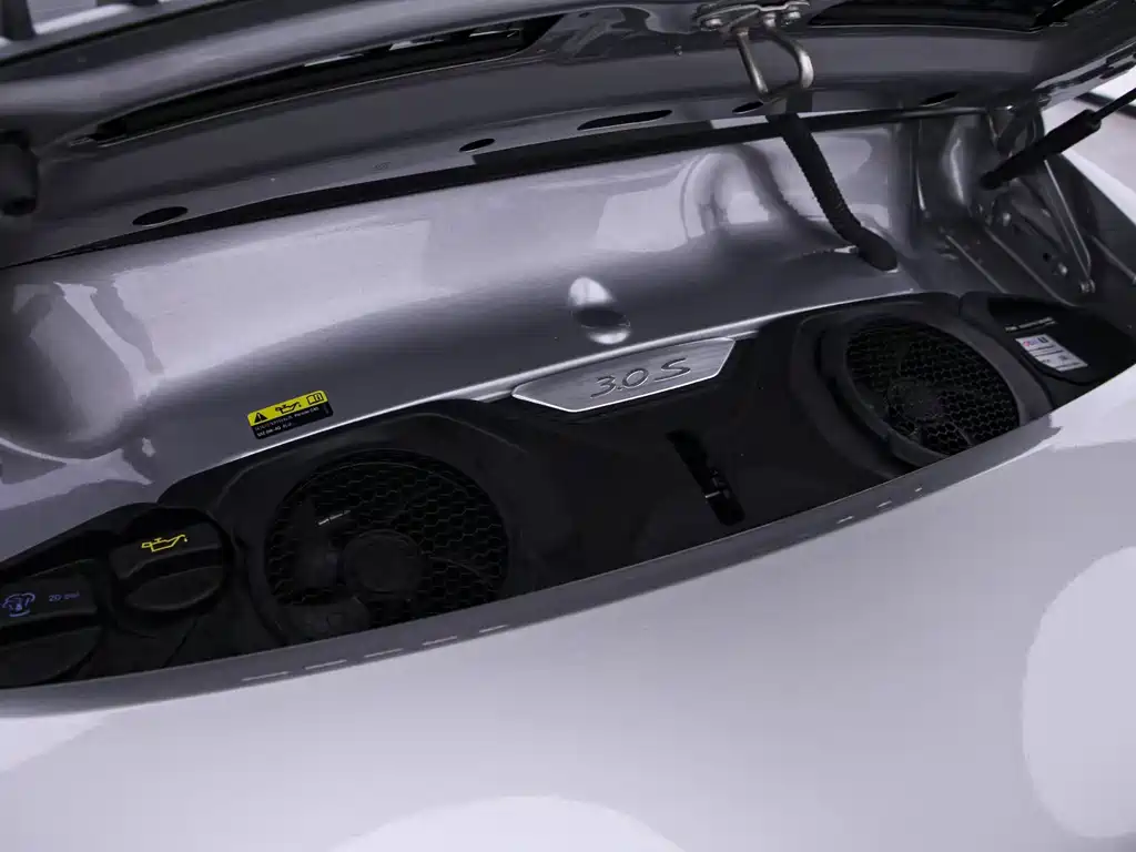 Porsche 911 — миниатюра 8
