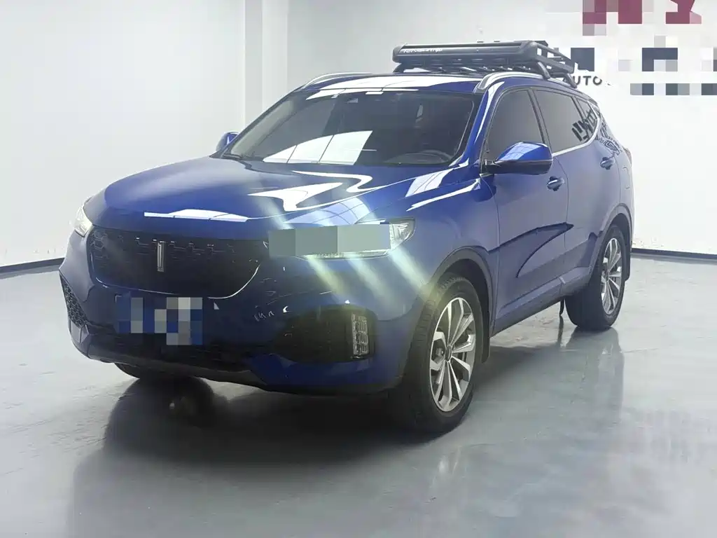 Купить Wey Wey VV6