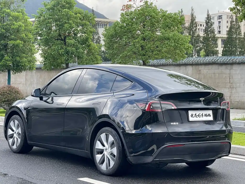 Tesla Model Y — миниатюра 13