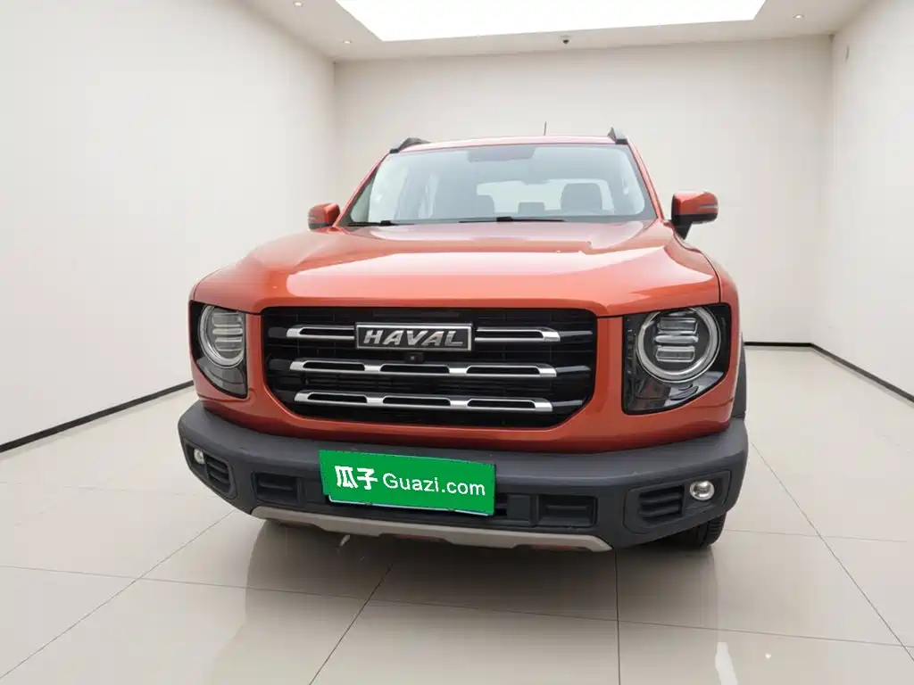Haval Big Dog — миниатюра 2
