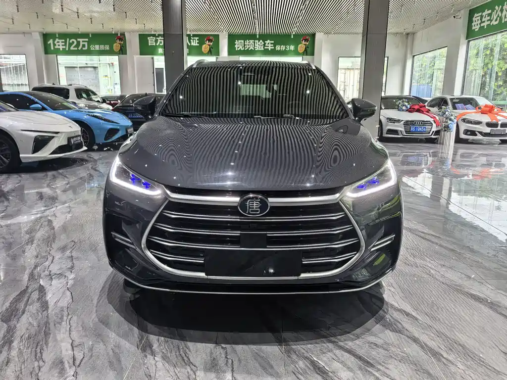 BYD Tang New Energy — миниатюра 2