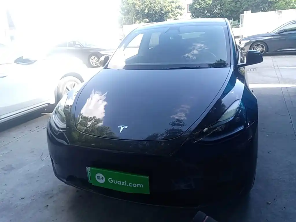 Tesla Model Y — миниатюра 3
