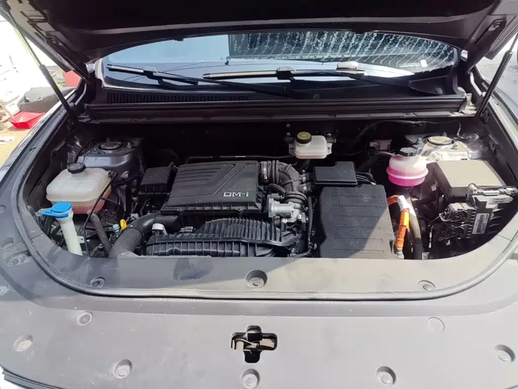 BYD Pro New Energy — миниатюра 20