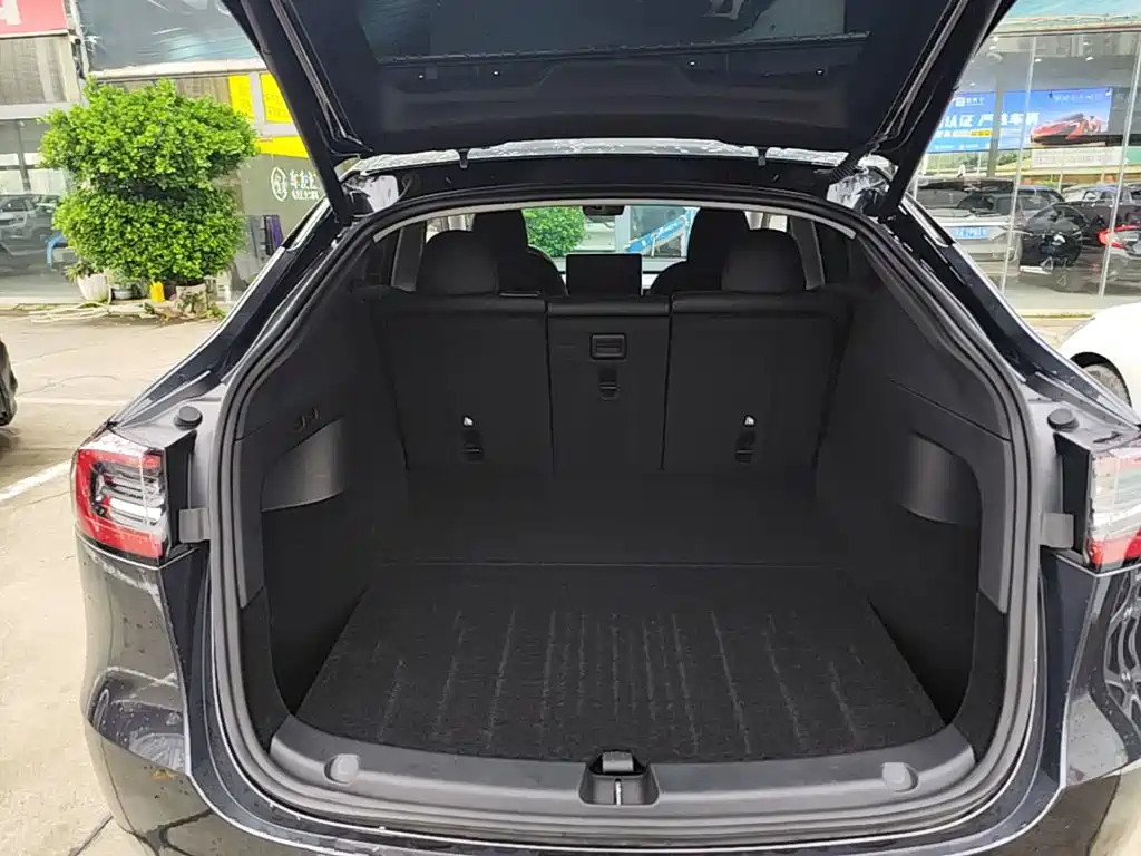 Tesla Model Y — миниатюра 19