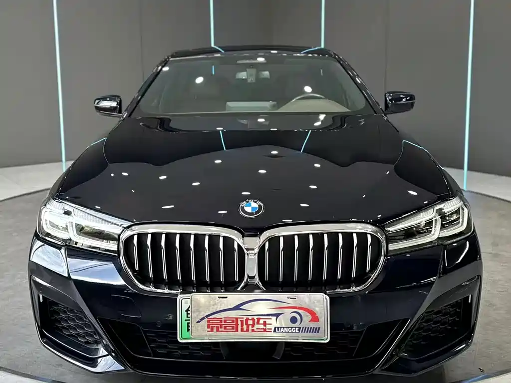 BMW 5 Series New Energy — миниатюра 2