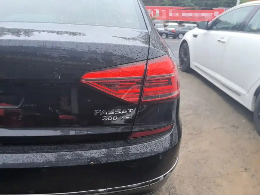Volkswagen Passat — миниатюра 8