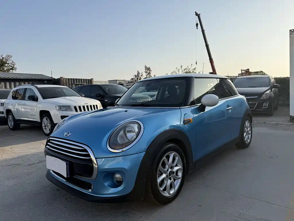 Mini Mini 2016