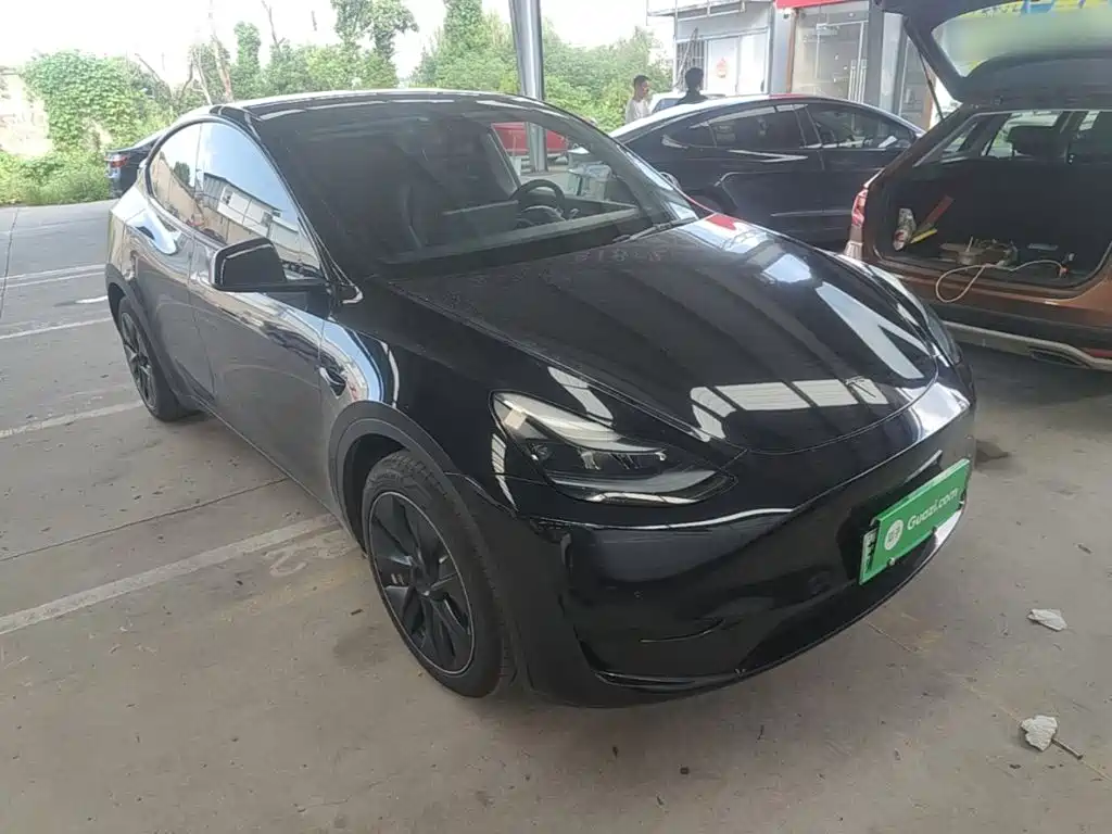 Tesla Model Y — миниатюра 4