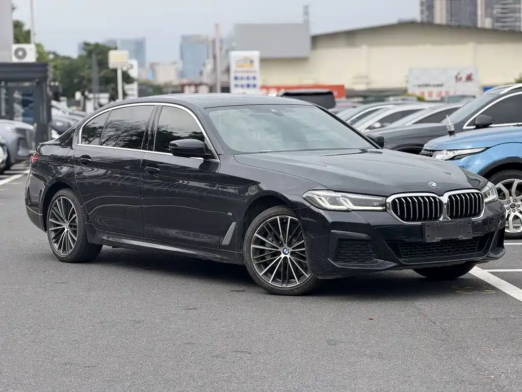 BMW 5 Series — миниатюра 3