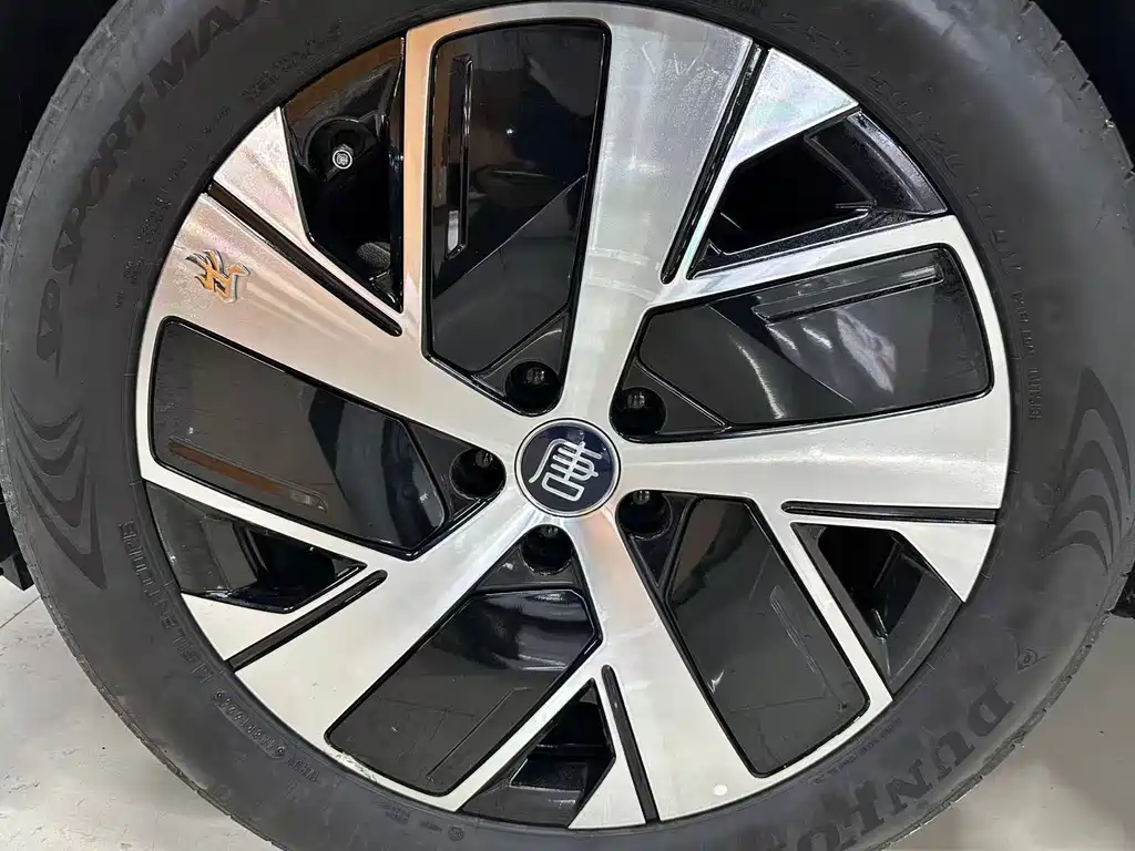 BYD Дон Л. — миниатюра 17