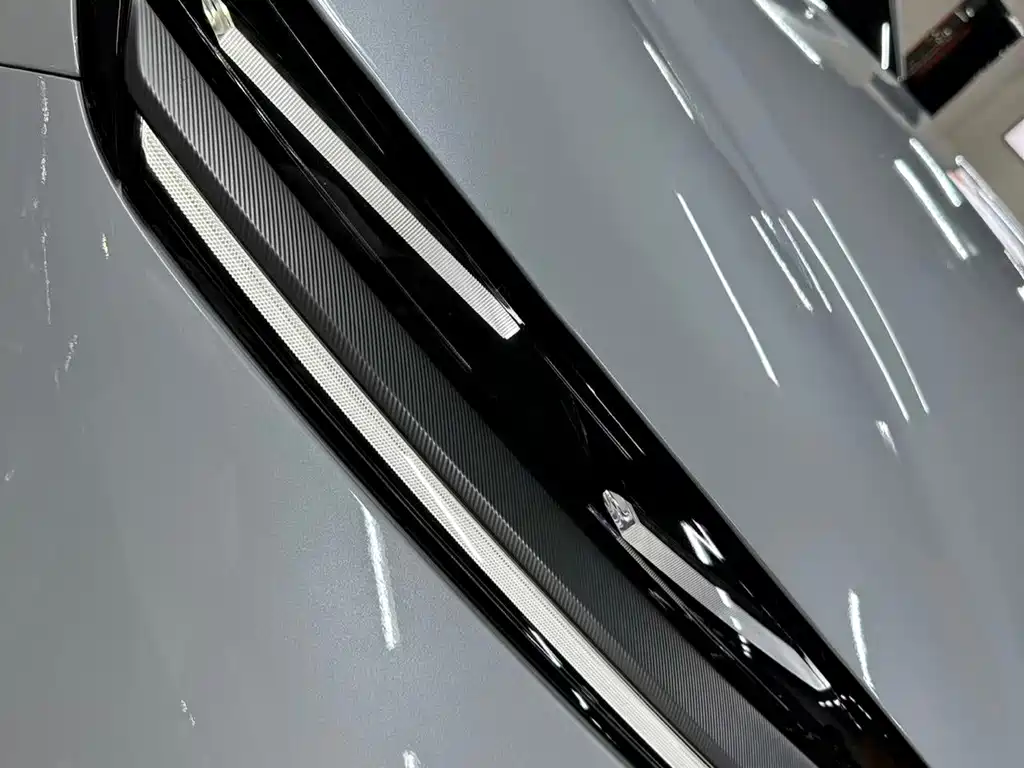 BYD Дон Л. — миниатюра 16