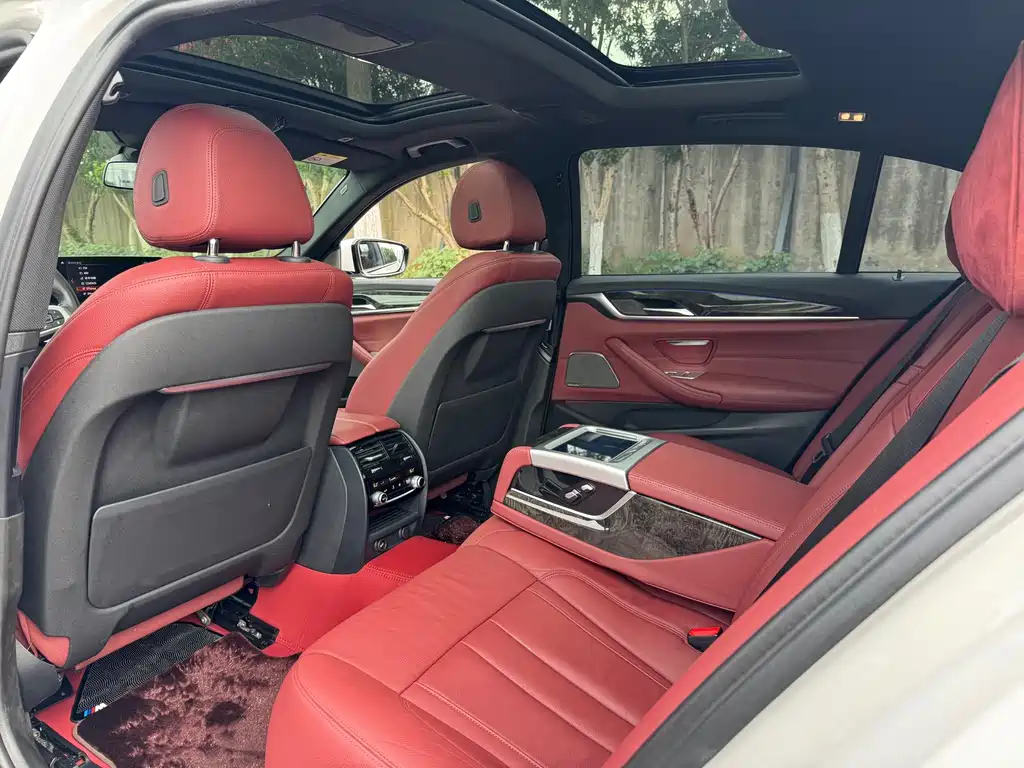 BMW 5 Series 5 2019 530Li Premium M Sport