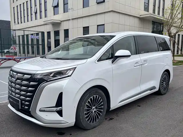 2022 Denza D9
