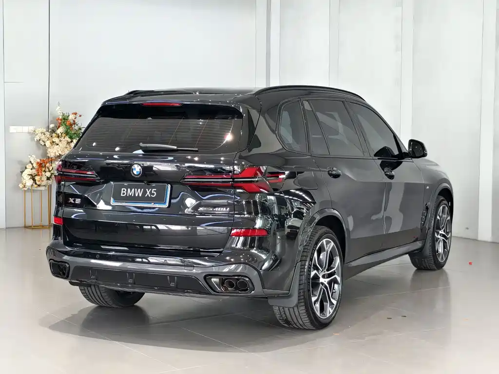 BMW X5 — миниатюра 5