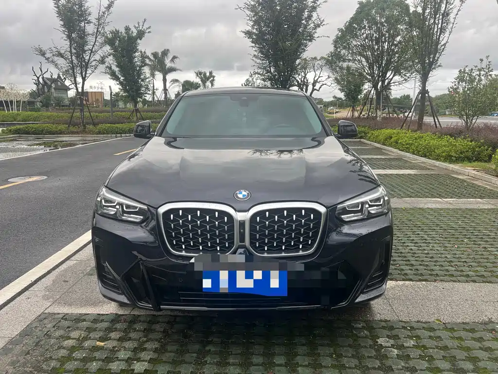 BMW X4 — миниатюра 2