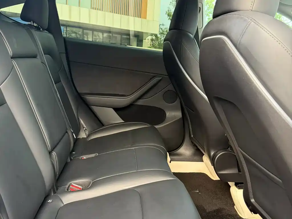 Tesla Model Y — миниатюра 6