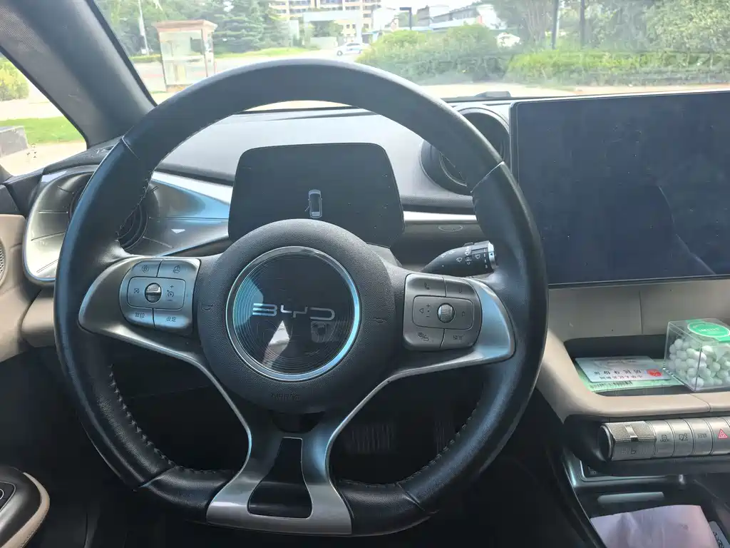 BYD Dolphin — миниатюра 10