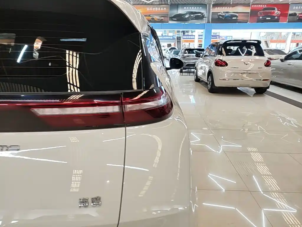 BYD Seagull 2024 305km
