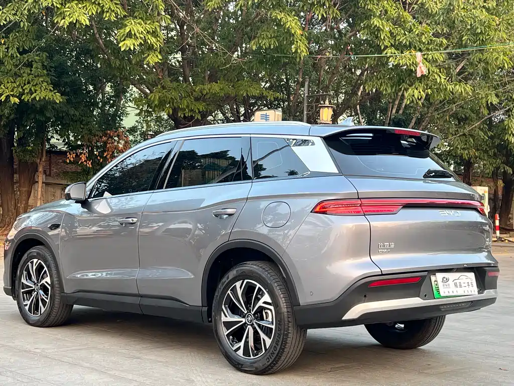 BYD SONGJIANG NEW ENERGY