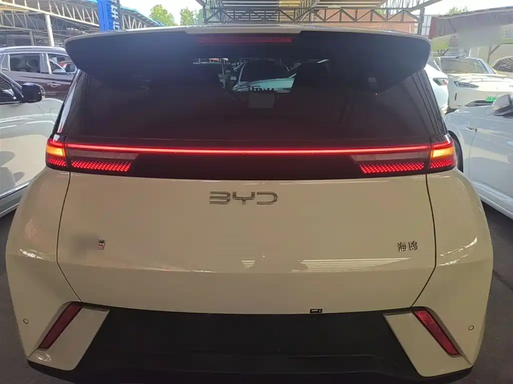 BYD Seagull 2024 305km