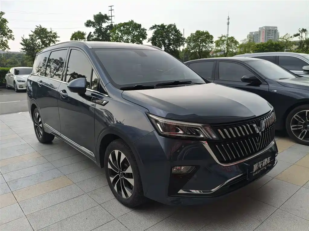 Wuling Jiachen — миниатюра 3