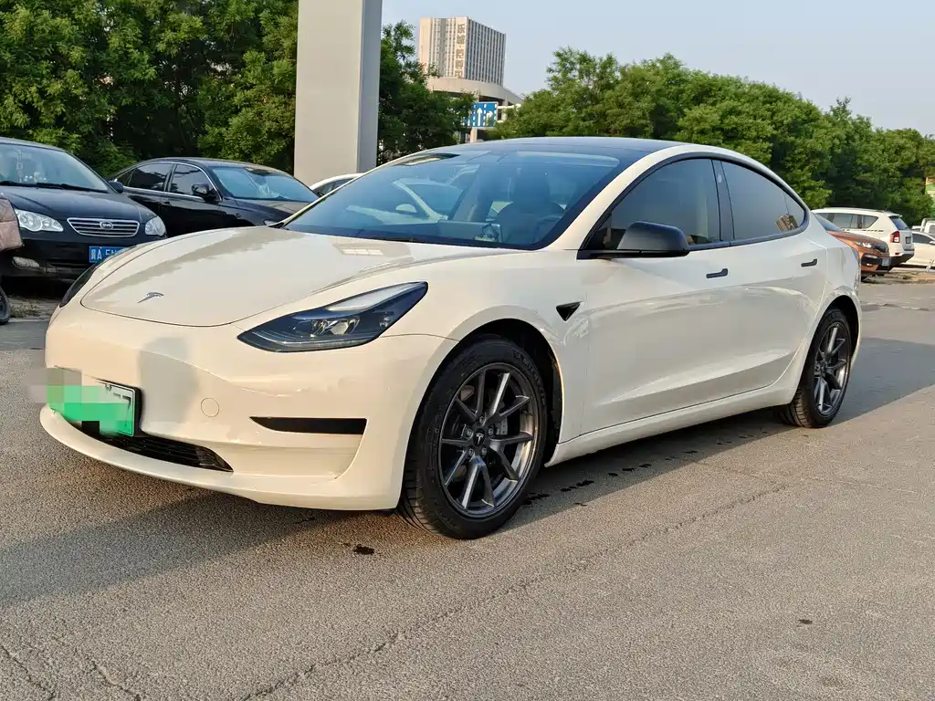 Tesla Model 3 2021
