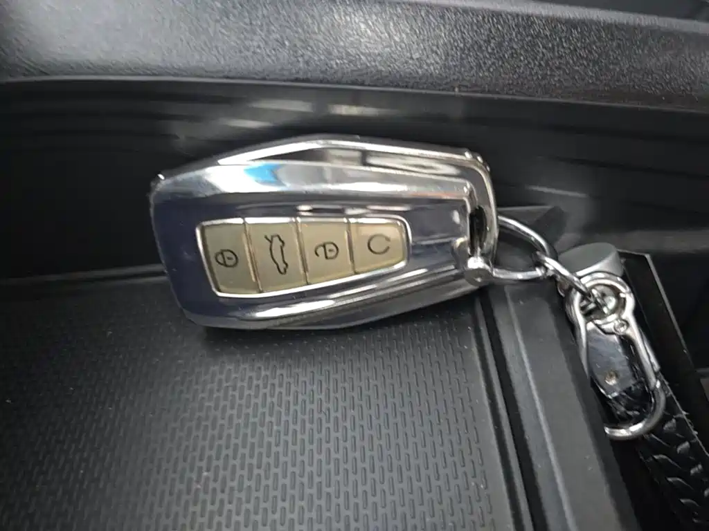 Geely Binrui 2024 COOL 1.5T DCT Champion