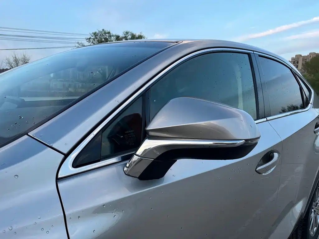 Lexus NX — миниатюра 15