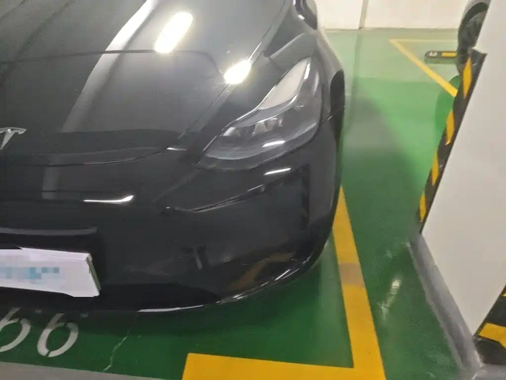 Tesla Model Y — миниатюра 24